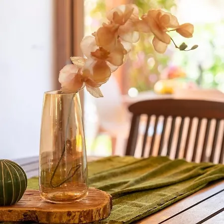 Con Piscina E Giardino Villa *