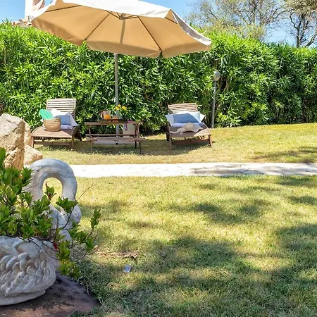 Con Piscina E Giardino Cala Bitta
